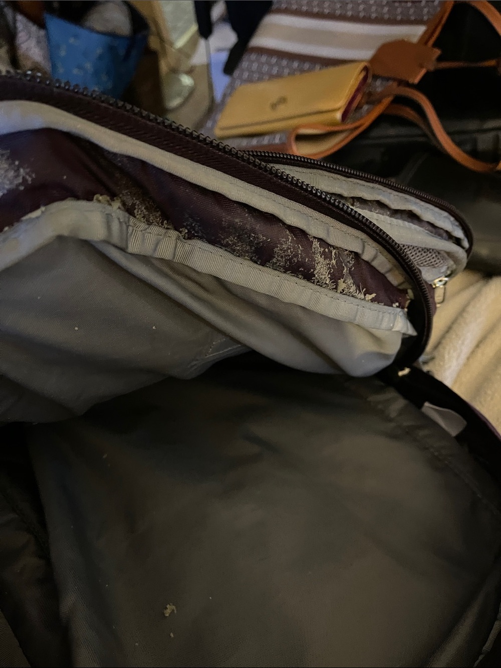 The North Face Surge Backpack in Purple and Gray 3 Pockets by North Face - Picture 7 of 9